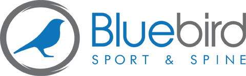 Bluebird Sport & Spine